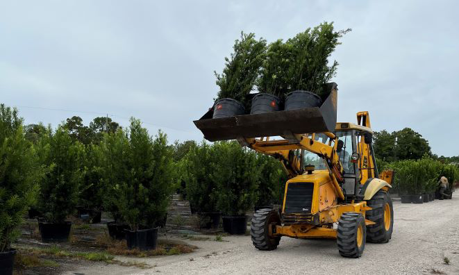 A farm vehicle carrying plants